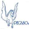 PEGASO
