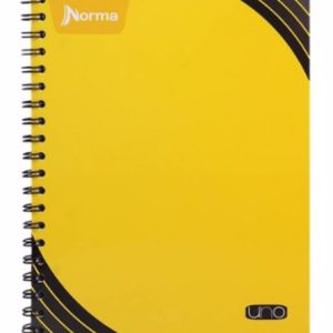 CUADERNO PROF.NORMA UNO RAYA 100H NO.529989 *