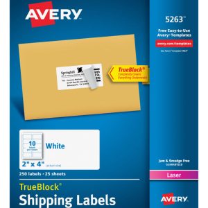 ETIQUETA AVERY NO.05263 LASER BLANCA 5.1X10.2 CM C/250 *