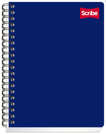 CUADERNO PROFESIONAL SCRIBE CLASICO CUADRO GRANDE 100H S2903-0