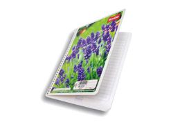 CUADERNO SCRIBE MEGA FRANCESA RAYA 100H C-4540-0