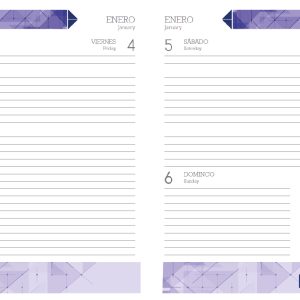 AGENDA FORTEC DIARIA FLUTUATION NEGRO 2025 (AD2020)-9841