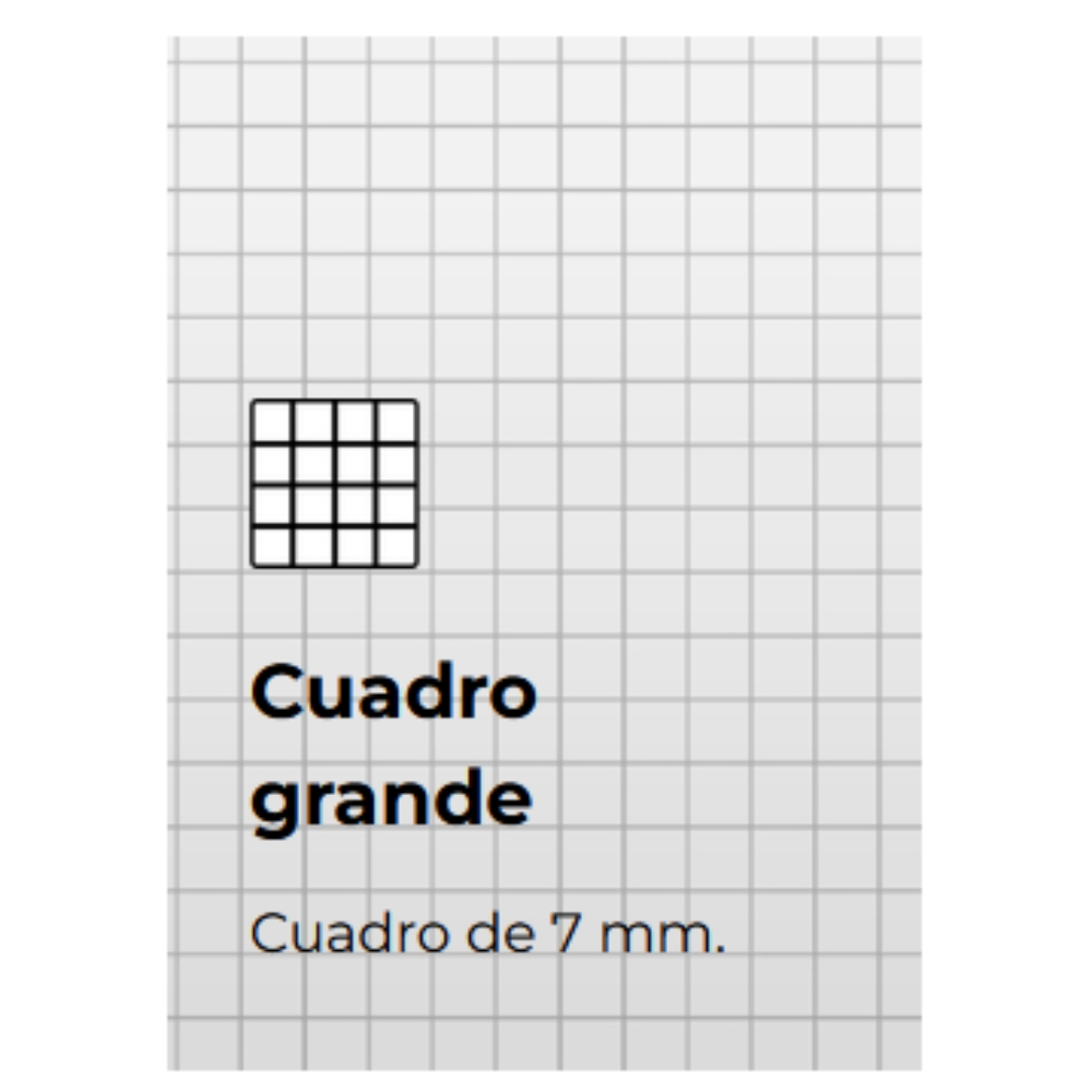 CUADERNO EJECUTIVO PRINTAFORM FRANCES CUADRO GRANDE (EJBKC7-C)-9911