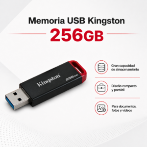 MEMORIA USB KINGSTON 256GB *